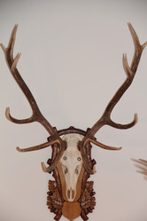 Similar image 472863