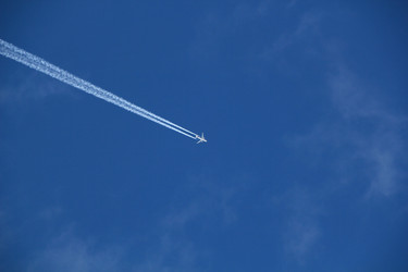 Similar image 472866