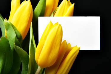 Similar image 472877