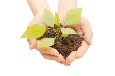 Similar image 472925