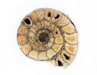 Similar image 472984