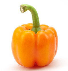 Similar image 473081