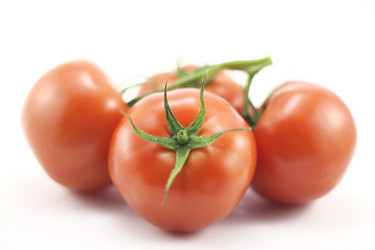 Similar image 473093