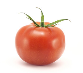 Similar image 473103