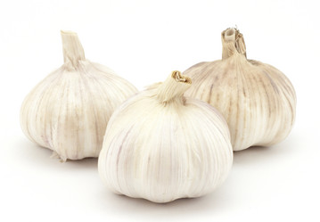 Similar image 473125