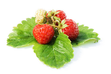 Similar image 473127