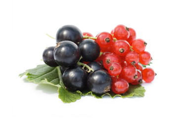 Similar image 473135