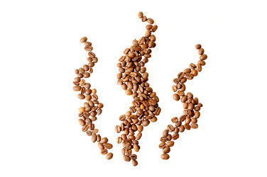 Similar image 473173