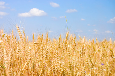 Similar image 473210