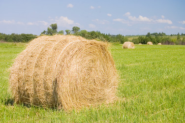 Similar image 473215