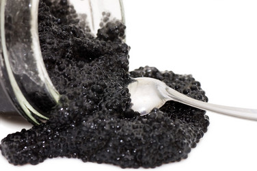 Similar image 473237