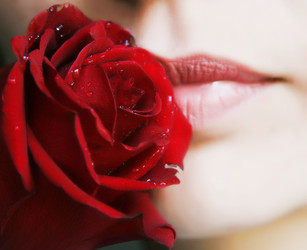 Similar image 473295