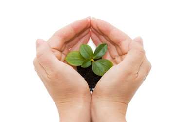 Similar image 473316