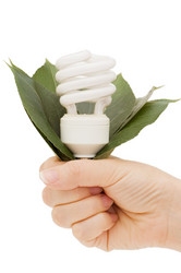 Similar image 473339