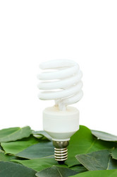 Similar image 473354