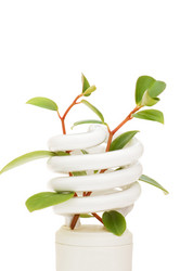 Similar image 473365