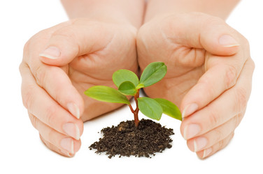 Similar image 473381