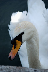 Similar image 473480