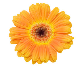 Similar image 473481