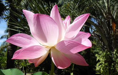 Similar image 473489