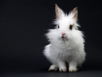 Similar image 473515