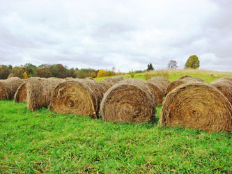 Similar image 473615