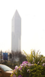 Similar image 473734