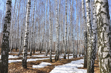 Similar image 473771