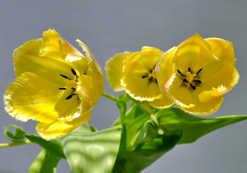 Similar image 473849