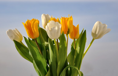 Similar image 473850