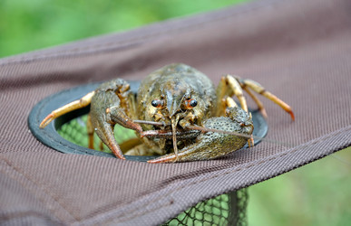 Similar image 473865