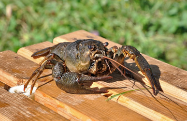 Similar image 473866