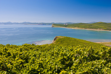 Similar image 473895