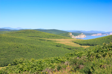 Similar image 473900