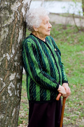 Similar image 473903