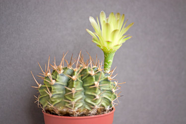 Similar image 473911