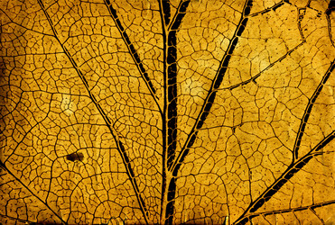 Similar image 473944