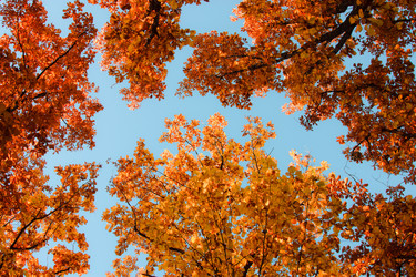 Similar image 473947