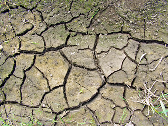 Similar image 473948