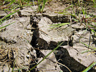 Similar image 473953