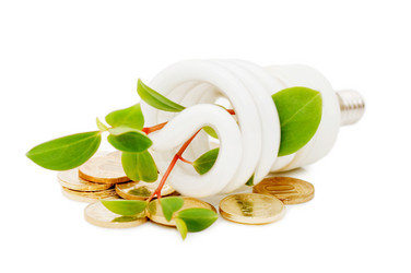 Similar image 473970