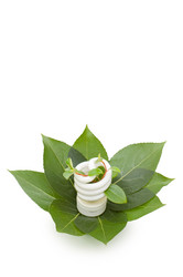 Similar image 473975