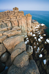 Similar image 474027