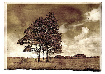 Similar image 474029