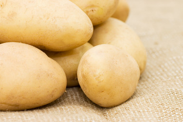 Similar image 474067