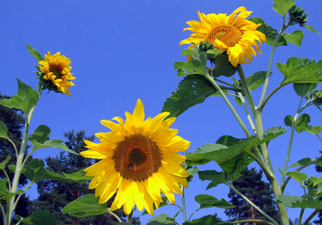 Similar image 474095