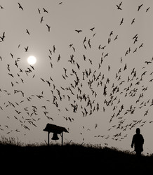 Similar image 474120