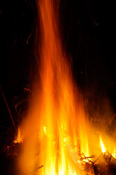 Similar image 474162