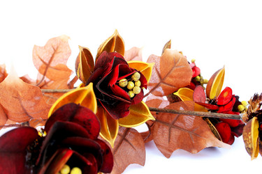 Similar image 474181