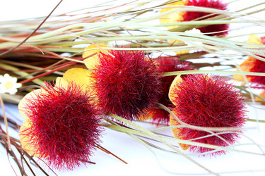 Similar image 474203